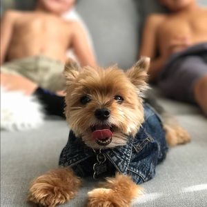 Meet your Posher, Anber